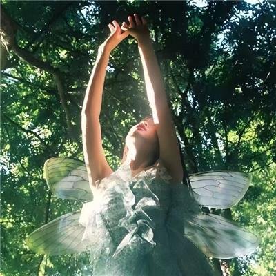 五郎八卦棍粤语